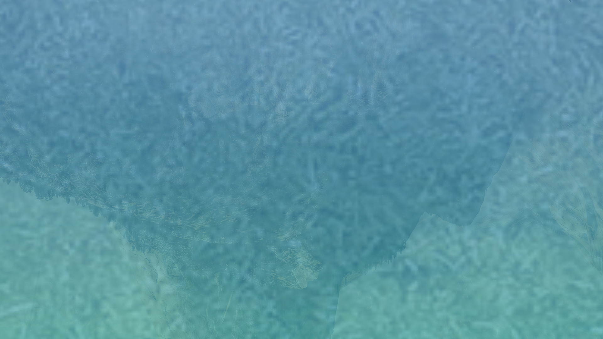 网站ddos隐藏源ip